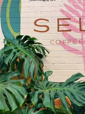 📍Selva Coffeehouse is located inside a plant nursery, north of downtown San Diego | • #selva #selvacoffeehouse #sandiego #sandiegoca #sandiegohiddengems #sandiegolife #sandiegocoffee #sandiegoplaces #socalthingstodo #socalexplorer #socalcoffeeshops 