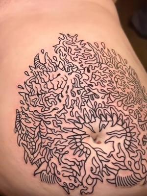 Freehand linework tattoo process stomach tattoo  tattoo artist - Steve Myles #tattooartist #tattooprocess #tattootechnique #tattooideas #tattootutorial #tattooapprentice #tatuaje #tatuador #worldsbesttattoos #besttattoos #stomachtattoo #lineworktattoo 