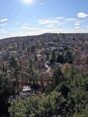 #Boston #bluecollar #deflection #massachusetts #cranework #arborist #treeremoval #treestuff #treeclimber 