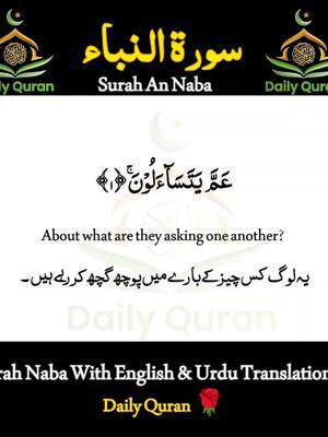 Surah An Naba(سورۃ النباء)With Soft Heart Touching Voice | Daily Quran 🌹  #dailyquran399 #dailyquran #surahnaba #surahannaba #sharifmustafa #quran #recitation #tilawat #quran_alkarim #unfreezemyaccount #foryoupage #foryou #fyp 