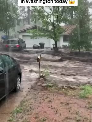 Heavy rain causes terrible flooding in Washington today! 😱😱😱 #flood #washington #washingtoncheck #warning 