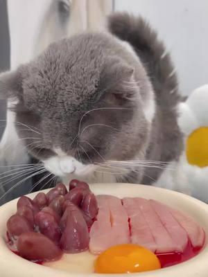 The kitten is big mouthed with meat#CookingCat #FoodieCat #GreedyCat