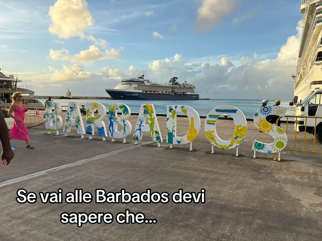 #barbatos #caraibi #costacrociere #costa #nave #fascinosa #costafascinosa #mare #natale #travel #traveltiktok #perte #neiperte 