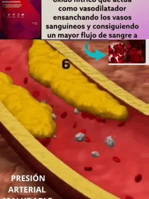 Tres de cada cuatro personas luchan contra la neblina mental, altos niveles de estrés o la poca energía. La mezcla sinérgica de ingredientes de vanguardia de NitroxPro aumenta el óxido nítrico natural en niveles sin precedentes. Su fórmula innovadora aprovecha el betabel natural rico en nitratos para mejorar la utilización del oxígeno en el cuerpo respaldado por L-citrulina de origen vegetal para reducir la fatiga y aumentar la absorción de nutrientes. La fórmula de NitrixPro también contiene rutinósidos, que influyen positivamente en la salud cardiovascular, la claridad mental y la concentración, y que han sido tratados con el sistema de administración molecular patentado de CyLoc/DexKey para una absorbibilidad biodisponibilidad incomparables.👇👇👇https://danyv.activz.com/us/ #nitroxactivz #presionalta #corazon #cardiovascular 