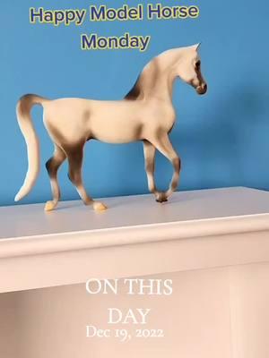 #breyer #breyerhorse #breyerhorses #silentnight #arabianhorse #horsegirl #horsegirlvibes  #onthisday 