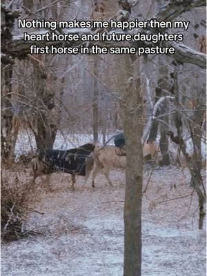 My girls ❤️ #fyp #minesota #barrelracer #horse #viral #trending #western #real #relatable #rodeo #skille #horsetok #rodeotok #rodeotime #nfr #coltstarting #nrha #nbha 