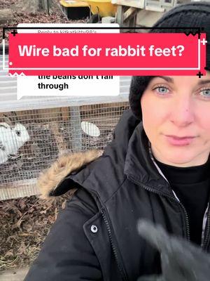 Replying to @kitkatkitty98 the anatomy of rabbit feet is completely different from that of a cat or dog. My voice tone may sound condescending but I assure you I’m just not good at talking. it’s not you, it’s me. Most important for rabbit foot health is maintaining clean floors. standing on pee and poop will cause ammonia burns and sore hocks. Also the wrong gage or type of wire can cause sore hocks. I had issues with sore hocks until i moved to these all wire cages. #meatrabbits #rabbitlady #meatrabbitlady #catfeet #rabbitfeet 