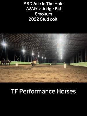 #trainingbarrelhorse #futurityprospect #dreams #goals #letsgo #drive #noquit 