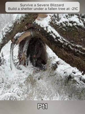 Pt1 | Survive a Severe Blizzard Build a shelter under a fallen tree at -21C #survivalcamp #build #Outdoors #survivaltips #survivalskills #camping #fyp #foryou #foryoupage #bushcraft #bushcrafting #shelter #building #builder #bushman #campinglife #rock