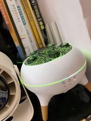 Buy Here☝️☝️☝️#humidifier #airhumidifier #TikTokShop 