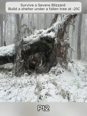 Pt2 - End | Survive a Severe Blizzard Build a shelter under a fallen tree at -21C #survivalcamp #build #Outdoors #survivaltips #survivalskills #camping #fyp #foryou #foryoupage #bushcraft #bushcrafting #shelter #building #builder #bushman #campinglife #rock