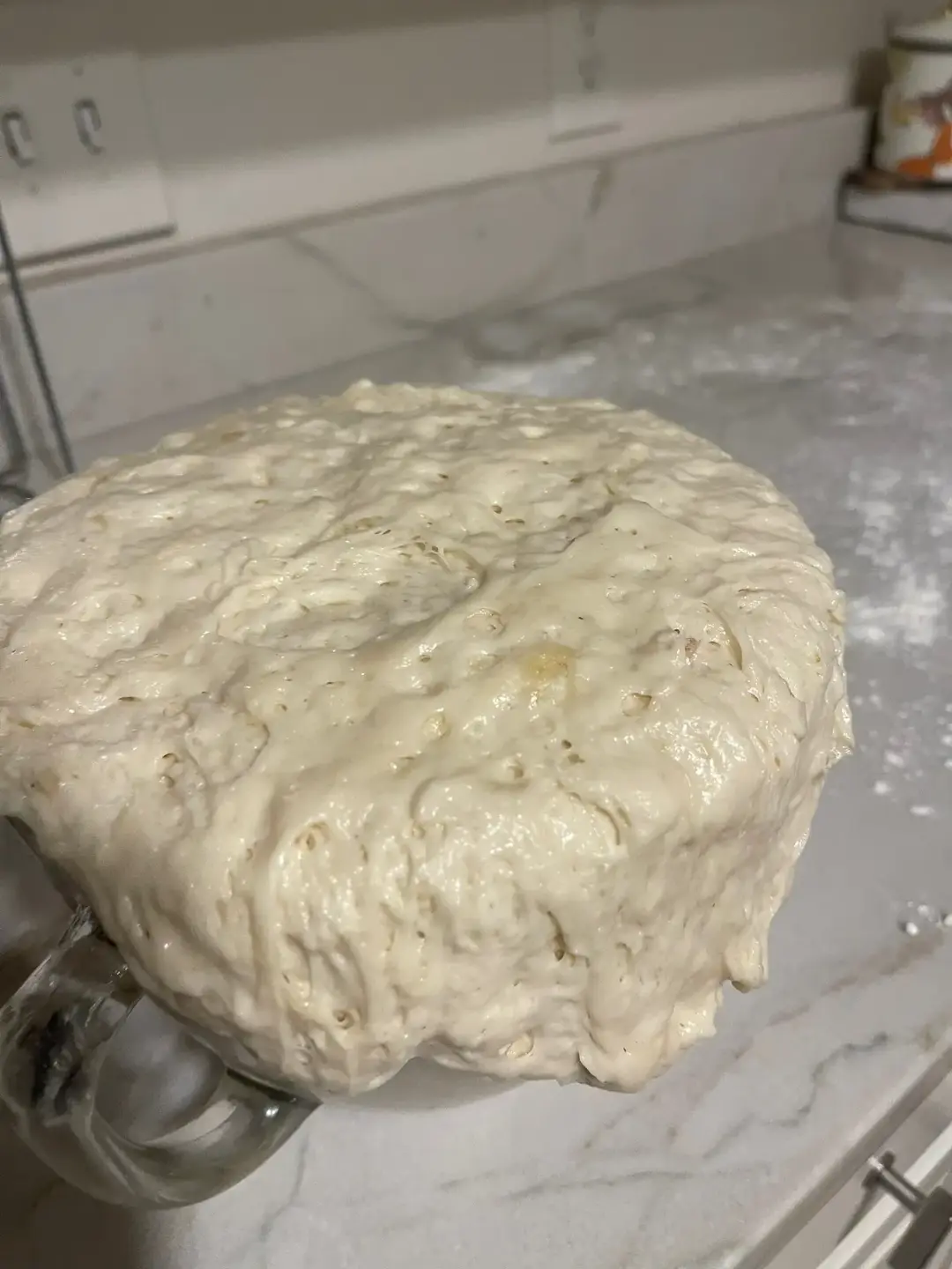 Delicious #homemade #bread is do hot #yummy and #delicious! You will want to mske it every week!  I have 2 starters going so i can make it every few days!  #getstarted #breadtok #breadwinner 