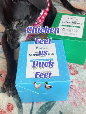 Which one was your guess? 🐓🦆 #chickenfeet #duckfeet #singleingredient #dogchews #naturalchews #dogdentalhealth #dogtreats #kinglou 