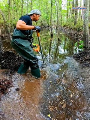 Beaver Dam Removal Here Has Come To An End! We're Done! #beaverdamremoval #beaverdam #beaverdamcreek #damremoval #beavers #dam #drain #draining #water #nature #unclogging #creek #terrellspivey #fypシ゚ #foryoupageシ #foryou #viralreels #viralvideo #viralpost #foryoupageofficiall #fyp #fyppppppppppppppppppppppp #tiktok #tiktokreels #shorts #tiktokvideos #viraltiktokvideo 