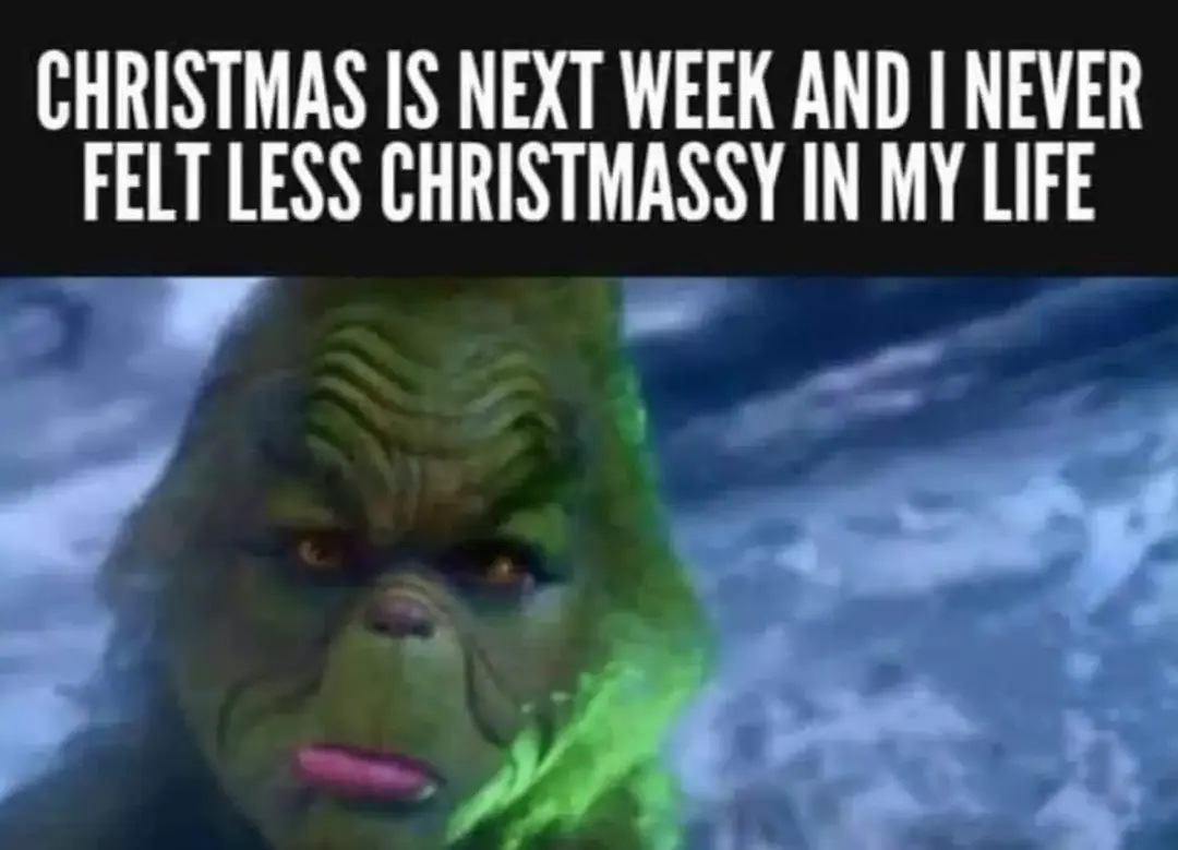 #christmas2024 #christmas #grinch #notfeelingit #humbug #tired #wornout #notthisyear 