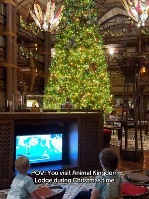 So magical 😍 #christmas2024 #animalkingdomlodge #animalkingdom #waltdisneyworld 