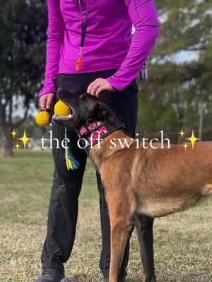 💖🥹 we worked so hard for that #malinois #belgianmalinois #maligator #ak9ta #workingdog #sportdog #dogtrainer 