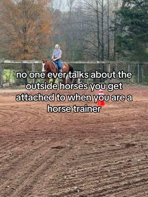 12 yr old gelding ending his time here for a restart, really lovely guy #horsetrainer #horsemanship #quarterhorse #aqha #coltstarter 