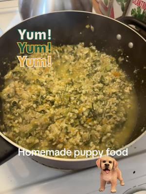 Tired of the processed food that's made with questionable ingredients. Homemade puppy food made with ground chicken, broccoli, cauliflower, carrots, spinach and brown rice. They love it, it's simple to make and costs me a total of $3.50 per pound.#fyf #philbilly #genx #puppy #organic #puppyfood #yummy 