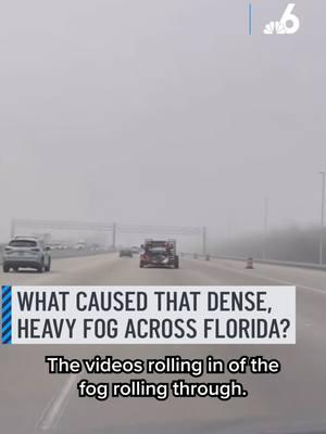 Dense fog advisories were issued Thursday morning in parts of South Florida and many people were wondering what caused the thick fog.  NBC6 Meteorologist Adam Berg explains what causes it and the dangers you should avoid while driving. #fog #weather #advisory #miami