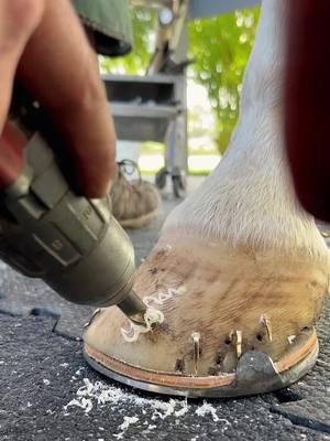 #farrier #farriersoftiktok #horse #horsesoftiktok #horses #asmr #satisfying #hoof #care 