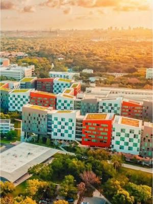 Welcome to the next 4 years! 🙌 #umiami #classof2029 #earlydecision #welcometomiami 