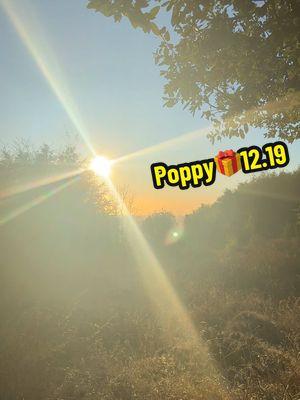 12/19/24 Question of the Day: Do you like to go on hikes? If so, what are some of your favorite spots? 🥾⛰️🌄Answer today's question to get involved, join my live around 11am-4pm PST to be included #poppyparty #tiktoklive #questionoftheday #hike #Hiking #california 