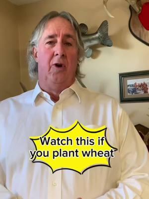 Do you believe in the 4R’s? We do, especially when it comes to wheat. The right time, the right place, the right product, and the right rate—all backed by solid soil tests and agronomy practices. From starter fertilizer in the seed trench to perfectly timed foliar feeds, every step matters. Want to learn how to apply the 4R’s to your farm? Join us for the Fundamentals of Agronomy and take your crops to the next level.  #WheatFarming #AgronomyTips #farmtok #agronomy101 #agronomytok #abetterwaytofarm #agriculturetiktok #rowcropfarmer  #soilhealth #farmfamily #familyfarm 