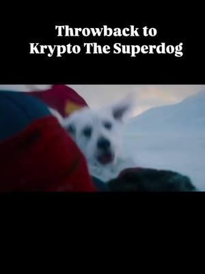 Remembered Krypto the Superdog?? #kryptothesuperdog #superman #jamesgunn #cartoonnetwork 