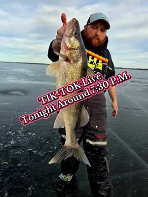 Tik-Tok live around 7:30 pm tonight..  don't miss out .. #fyp #walleye #walleyefishing #htenterprises #wisco3 #icefishing #hardwaterfishing #icefishinglife #LIVE @R2thecrook 