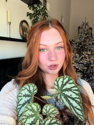 How I propagate plants at home!🌿🌱✨ #planttips #houseplanttips #propagateplants #plantsoftiktok #houseplants 