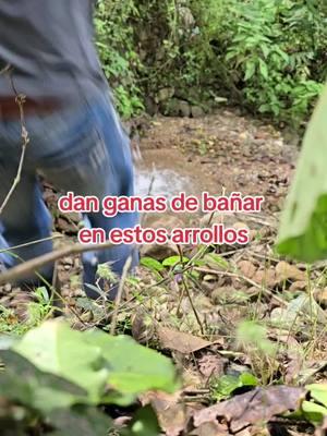 se antoja bañarse cuando encuentra estos chorros de agua uno por aqui #chorros #deagua #honduras #aguas #feliz #desdehondurasparaelmundo #lavidaenhonduras #lajitas #rigobertoarn #talgua #naturaleza 