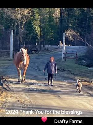 we've had a memorable year with our herd - thankful for my family #tiktokviral #staypositive #blessed #mainelife #ourheaven #207 #draftyfarms #belgiandrafthorses #farmlife #barnlife #belgiandrafthorse #littles 