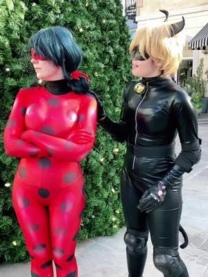 #miraculousladybug #chatnoir #chatnoircosoplay #miraculousladybugcosplay @camellia.heart 