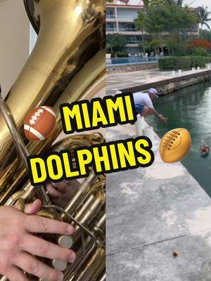 #duet with @DE PondHopper #dolphin #football #catch #downthepit @Miami Dolphins @Cheetah Bo Hill @Braxton Berrios @Alix Earle #miami #miamidolphins @NFL @NFL on CBS @NFLonFOX @NFL on Prime Video @NFL México @NFL on FOX Podcast #themesong 