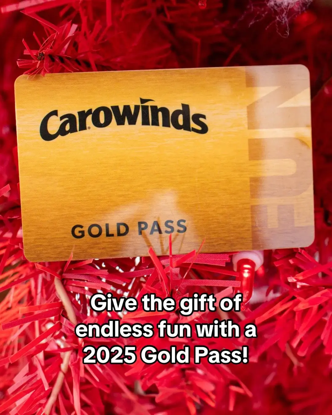 A 2025 #Carowinds Gold Pass is the gift that keeps giving with unlimited visits, free parking and more!