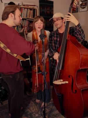 Our house, is a very very fine houseee💛🏡🫶 Should we put out a new full cover of this song? #folkmusic #folkband #thewildwoods #folktrio #csny #ourhouse #crosbystillsnashandyoung #harmonies #fyp 