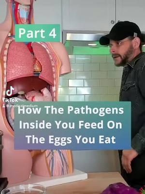 How The Pathogens Inside You Feed on the Eggs You Eat | part 4 of 6    Viruses are alive. Viruses are cells. Viruses eat. That means that if you were to eat an egg, then a virus inside of you will feed on that egg and proliferate. If you have chronic fatigue syndrome, tingles and numbness, UTIs, lung infections, kidney infections, conjunctivitis, vitiligo, brain fog, aches and pains, RA, fibromyalgia, Lyme disease, styes, eczema, psoriasis, and more, if you suffer from any of these symptoms and conditions, then you most likely have pathogens inside of you causing them. Those bugs will seek and search for particles of eggs because these bugs thrive on undeveloped proteins. To learn more, read Brain Saver Protocols, Link in bio. #foryoupage #health #healthtok #medicalmedium #medicalmediumcommunity #eggs #pathogens #cfs #vitiligo #brainfog #fibromyalgia #lymedisease #psoriasis #styes #conjuntivitis #kidneyhealth #healthandwellness #brainsaver #fyp #cleansetoheal