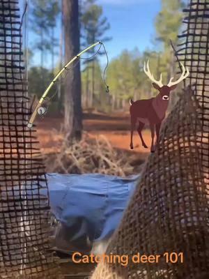 Caught three! Tossed a few back lol #spiveyoutdoors #backstrapmafia #youtube #outdoorlife #bsm #deertok🦌 #deertok🦌 #greatoutdoors #buck #hunttok #huntingtiktok #fishing #fishtok #funnyvideo 