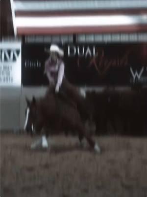 💖 #fypシ゚viral #ncha #cowgirls #cowboy #cuttinghorsesoftiktok 