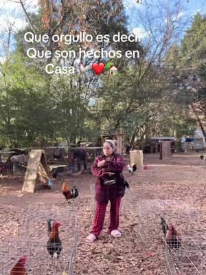 #vira #viralisimo #seguidores #amorporlosgallos #galleros #gallerosmexicanos #gallerosdecorazon❤️🐓 #gallerosdecorazon🐓 #gallerosusa #gallosfinos #gallerosdecorazon🐓 #gallosmexico🐓👌 #gallosmexicanos🇲🇽 #gallosfinos💯 #gallosprimernivel #mujeresgalleras #galleras #gallosworld #gallerosdecorazon #gallerosoy 