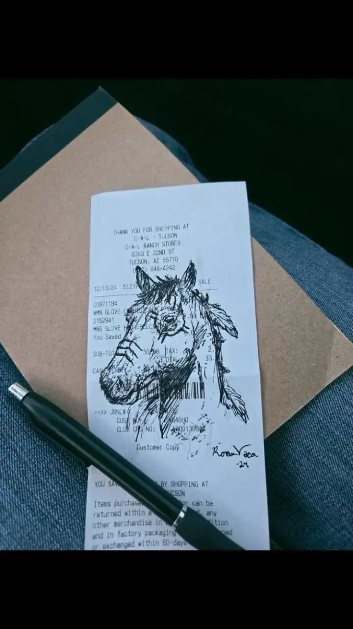 Road trip doodle #theroanvaca #art #horse 