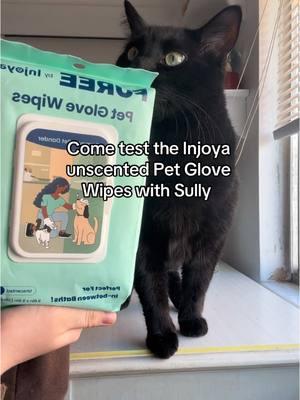 these are so helpful 🙌🏻 #injoya #petglovewipes #catproducts #catsoftiktok #TikTokShop #fypシ 