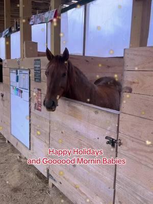 #morningmybabies #smoothmovesranch #gratefulandblessed #thereasonfortheseason #happyholidaysyall #merrychristmas #farmlife #smrpasofinos 