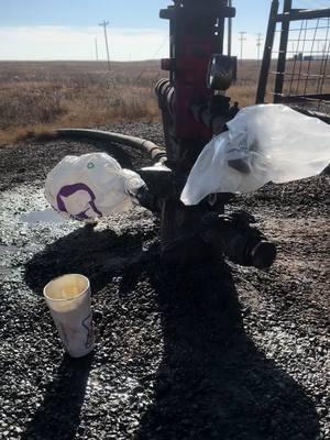 Fully wzpecting someone to point out that my dog isnt wearing her hard hat and glasses 😆 #fyp #oklahoma #oilfield #bluecollar #oilminer #osagecounty #landman #Oilminer 