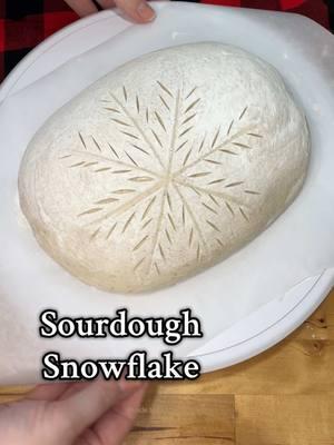 Sourdough Christmas snowflake scoring design ❄️☃️🎄 I saw @Bethany Neubauer do this design and had to try for myself! I think hers turned out better 😂 but its still pretty and festive! ❄️ Something important to note: i did not cut the initial lines that i mapped out! Only the wheat stalks around them!  #sourdough #sourdoughtips #sourdoughstarter  #scoringbread #sourdoughscoringart #sourdoughart #sourdoughscoring #sourdoughbaker #sourdough #sourdoughtutorial #sourdoughtipsandtricks #sourdoughbread #sourdoughhowto #beginnersourdough #sourdoughbeginner #sourdoughforbeginners #sourdoughbaking #allaboutsourdough #foodietok #breadmaking #foodtiktok #doughrecipe #bakingtips #homemadebread #breadrecipe #sourdoughrecipe #breadbaking #MakingBreadAtHome #artisanbread #BreadmakingForBeginners 