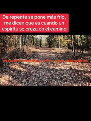 Caminando en este bosque de repente en una pare se sintio mas frio. Me comentan que  es cuando un espíritu se cruza.#fyp #malasenergias #embrujado #zacamorel #bosques #bamboho #miedo #senderismo #duendes#espiritus #actividadparanormal 