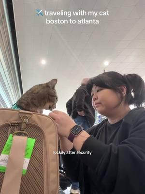 Traveling with a cat isnt super easy but Scout and I have separation anxiety and actually cannot stand to be apart so she travels with me often, especially when I visit home heheh #fyp #travelvlog #cattok #travelingwithcats #cattiktok #Vlogmas 