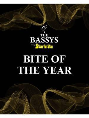 And the 2024 BASSY for Bite of the Year goes to … 🥁🥁🥁  Steve Kennedy! Congratulations Steve, we look forward to more incredible bites in 2025. A special shoutout goes to Classic Celebrity Pro-Am defending champ, @Hoodfishing Entertainment for announcing! @Star brite  #bass #bassmaster #bassy #awards #biteoftheyear #bassfishing #starbrite #starbritesolutions 