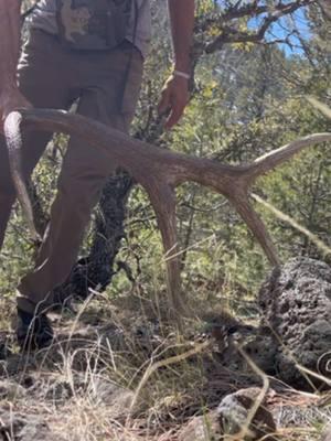 Found the match after i called for back up! 🤣 #tinesup #sheepfeet #fypシ゚viral #trendingvideo #jumpingjacktrailers #vortexoptics #foryourpage #theyshedifindem 